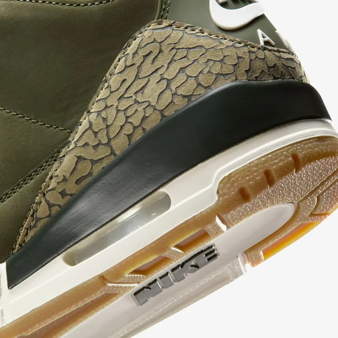 Nike Air Jordan 3 Retro 'Family Affair' — Çok Renkli · DN3707-202 (8/8)