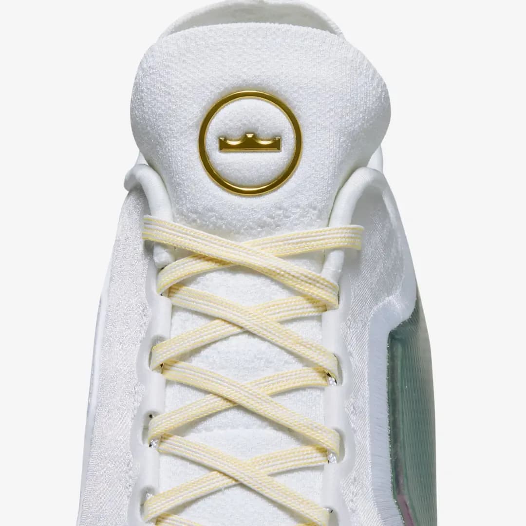 Nike LeBron 23 Elite 'For the Record' — Çok Renkli · IB9557-100 (9/10)