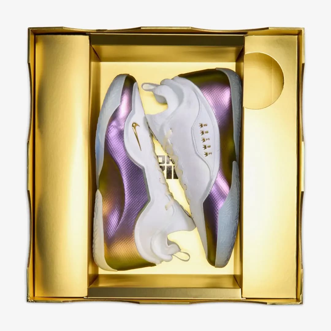 Nike LeBron 23 Elite 'For the Record' — Çok Renkli · IB9557-100 (10/10)