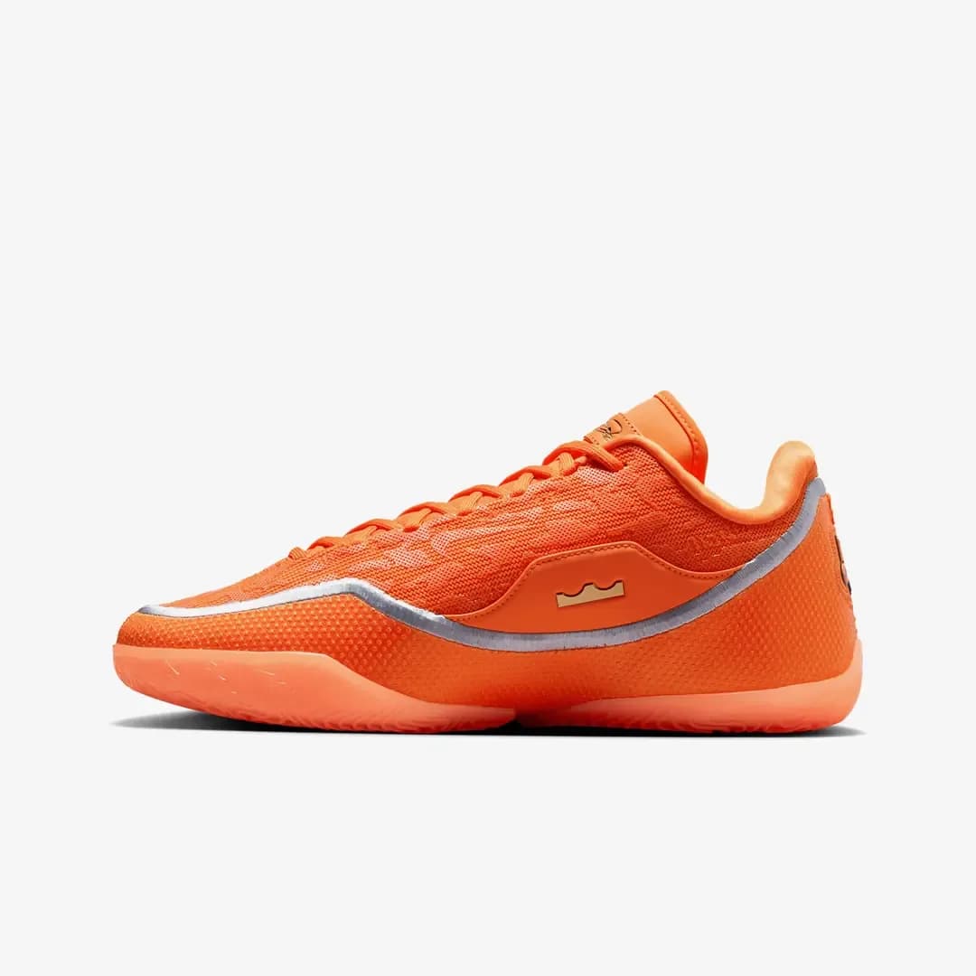 Nike LeBron 23 'Shoe Bag' — Çok Renkli · IV5647-800 (2/10)