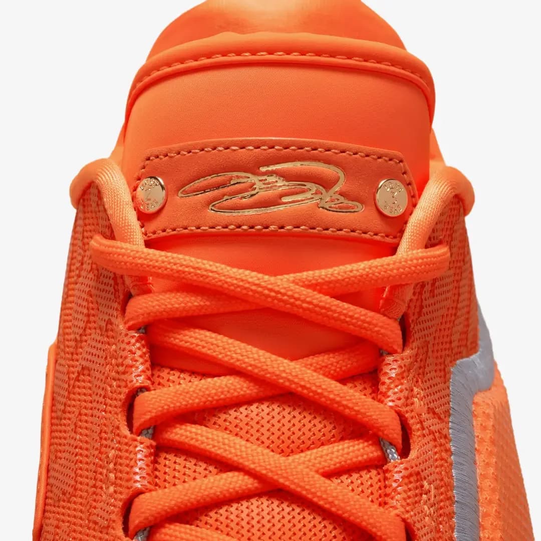 Nike LeBron 23 'Shoe Bag' — Çok Renkli · IV5647-800 (9/10)