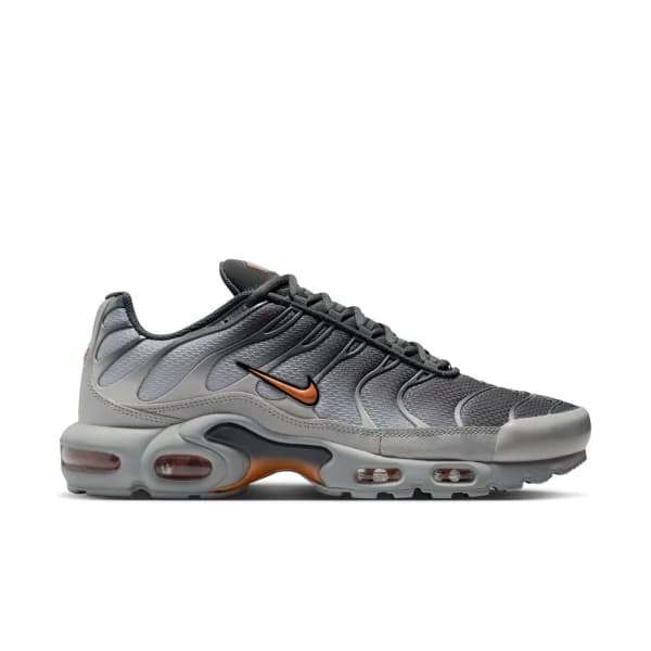 Air Max Plus Erkek Sneaker Ayakkabı görsel 1