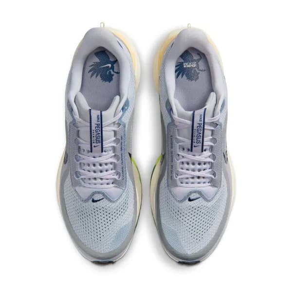 Nike Pegasus Premium Erkek Koşu Ayakkabısı — Çok Renkli · IR1815-012 (9/11)