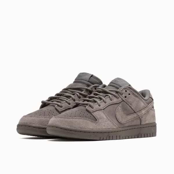 Nike Dunk Low Retro SE Erkek Sneaker Ayakkabı — Çok Renkli · IB6651-200 (4/10)