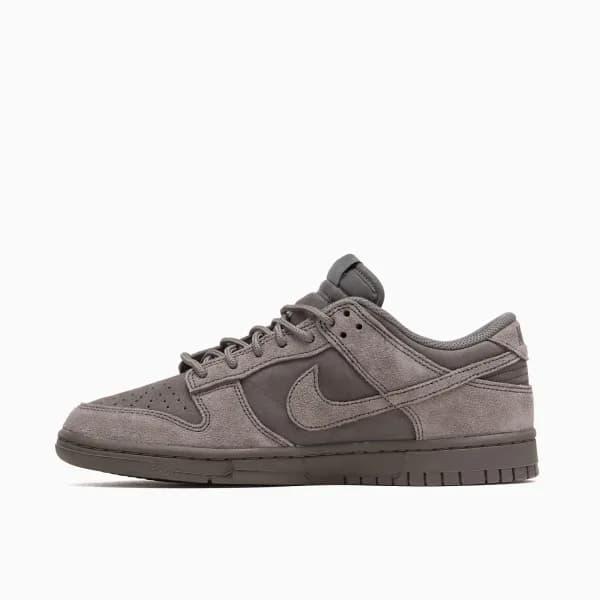 Nike Dunk Low Retro SE Erkek Sneaker Ayakkabı — Çok Renkli · IB6651-200 (5/10)