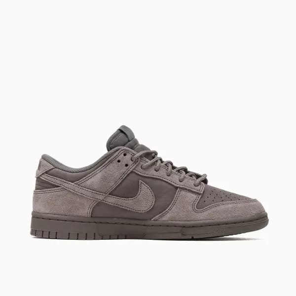 Nike Dunk Low Retro SE Erkek Sneaker Ayakkabı — Çok Renkli · IB6651-200 (6/10)