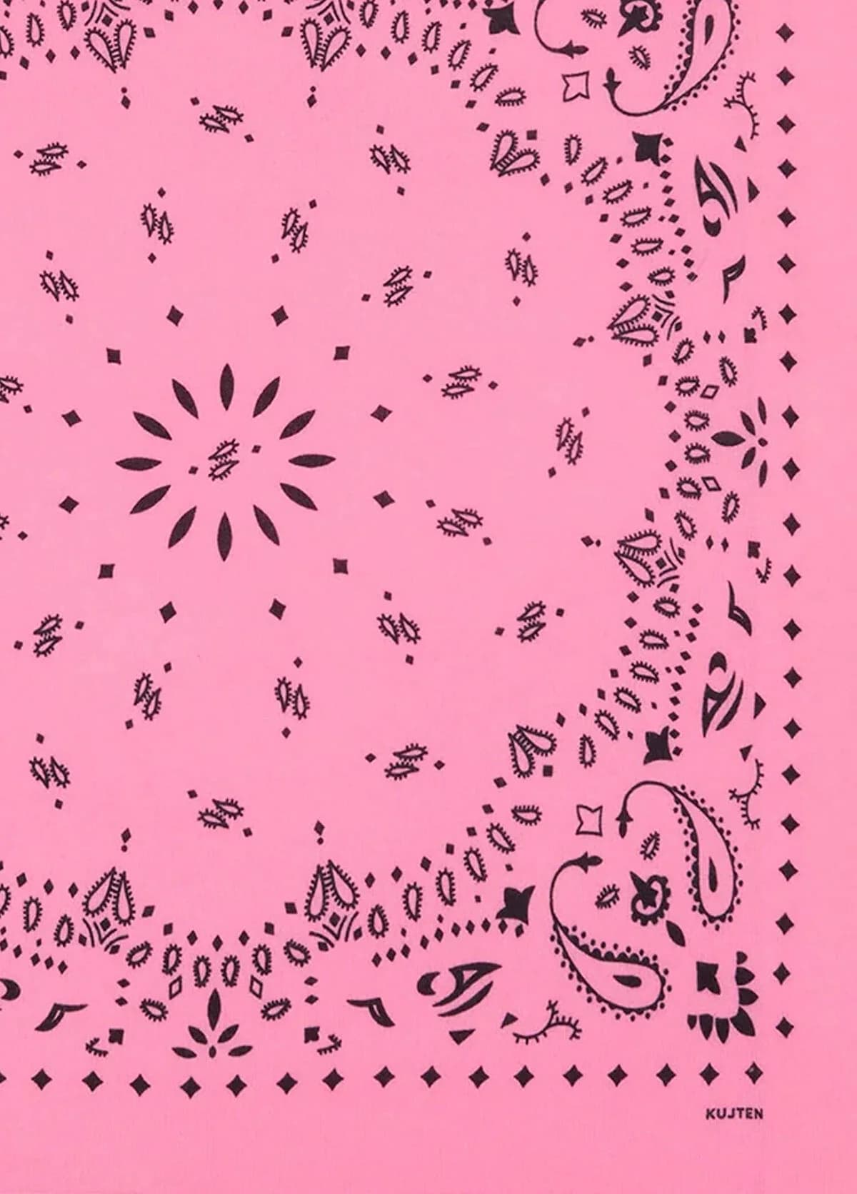 Kujten Hachiko Large Pembe Desenli Kadın Kaşmir Şal — kadin Şal & Eşarp (3/3)