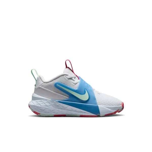 Nike Team Hustle D 12 Lıls Ps Çocuk Basketbol Ayakkabısı — Çok Renkli