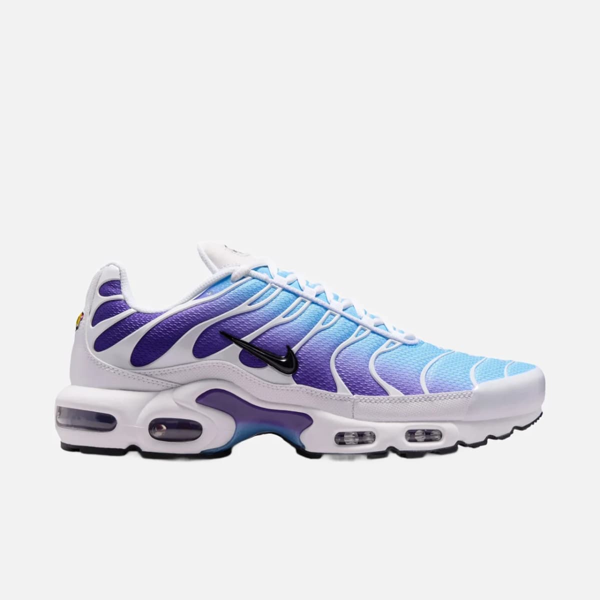 Nike Air Max Plus Erkek Spor Ayakkabı — Çok Renkli