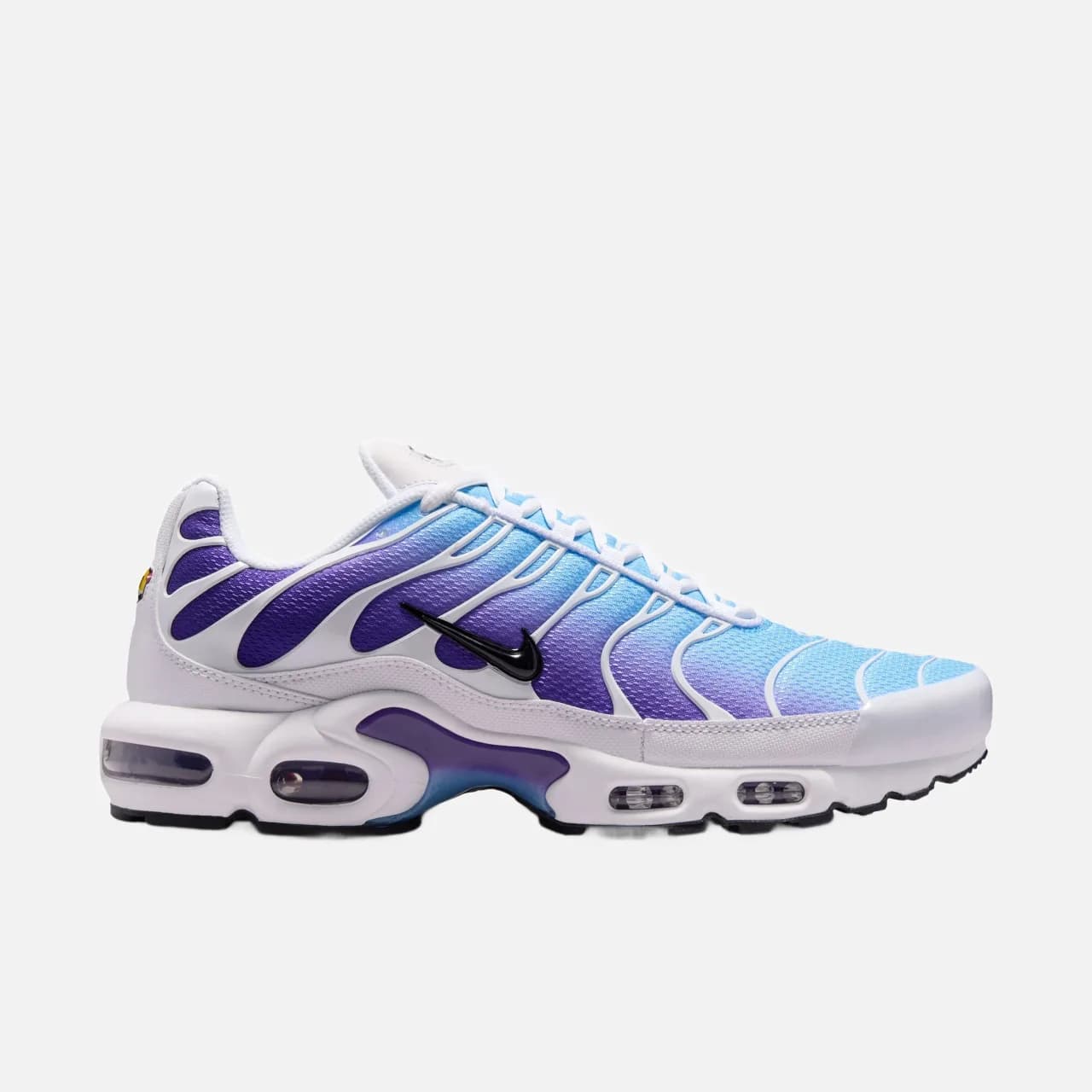 Nike Air Max Plus Erkek Spor Ayakkabı — Çok Renkli