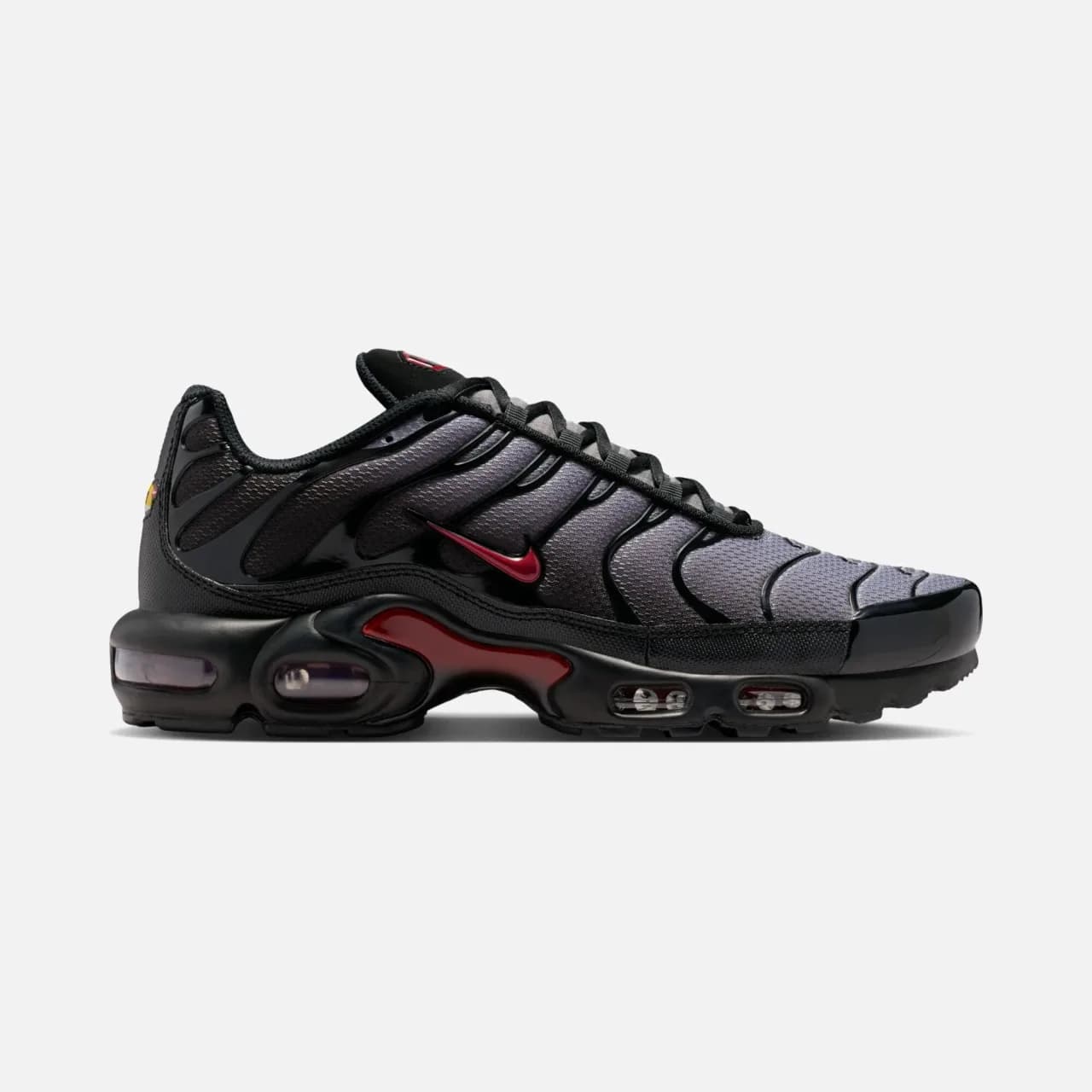 Nike Air Max Plus Erkek Spor Ayakkabı — Çok Renkli