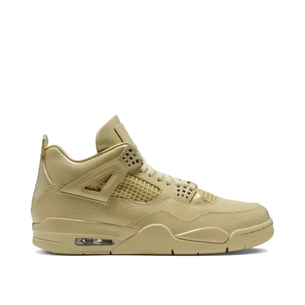 Nike Air Jordan 4 x J Balvin 'Amazonas' — Çok Renkli