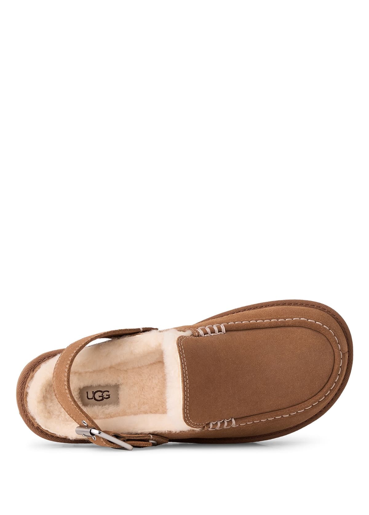 UGG Goldenstar Evelina Taba Kadın Süet Slipper · 1180251-CHE (5/6)