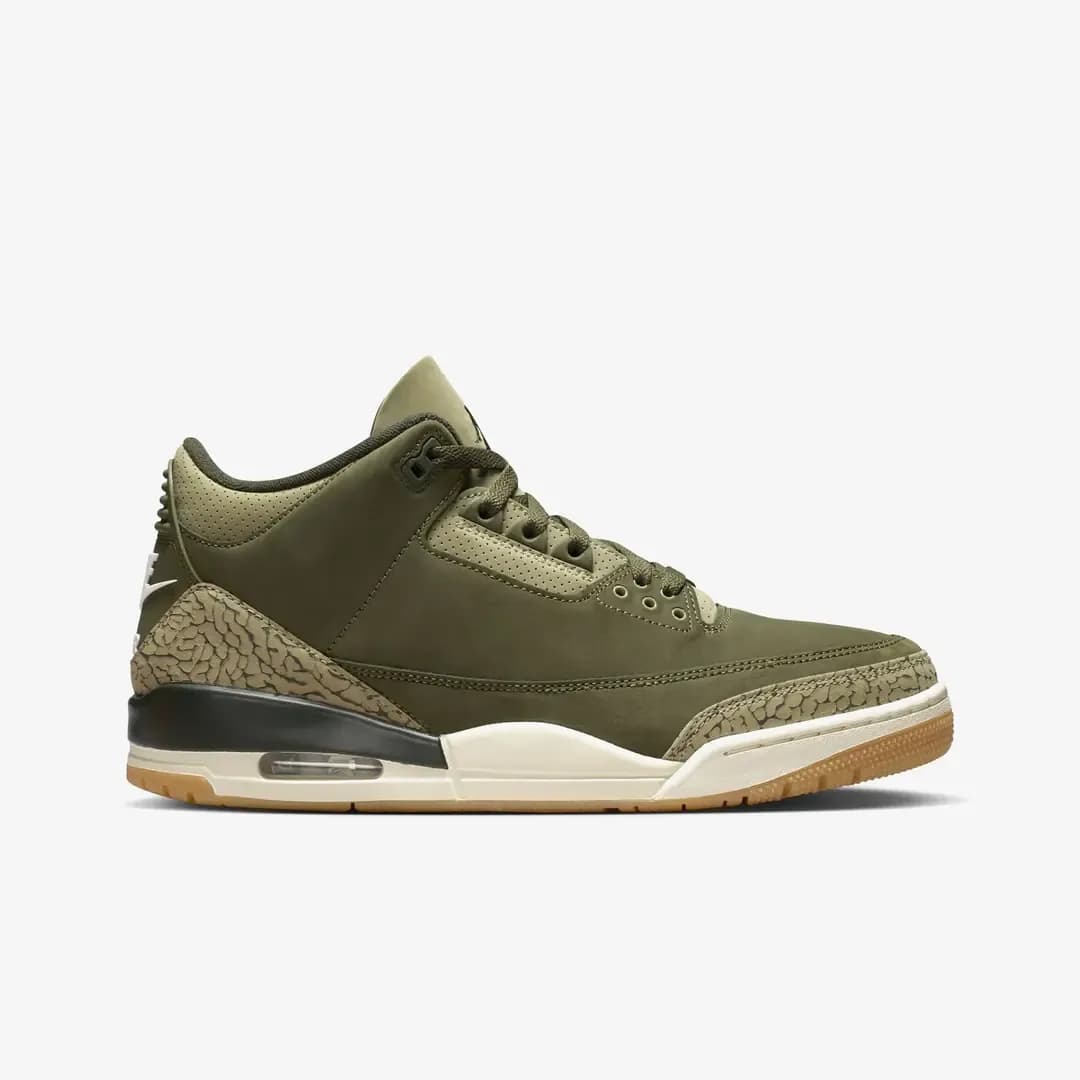 Nike Air Jordan 3 Retro 'Family Affair' — Çok Renkli