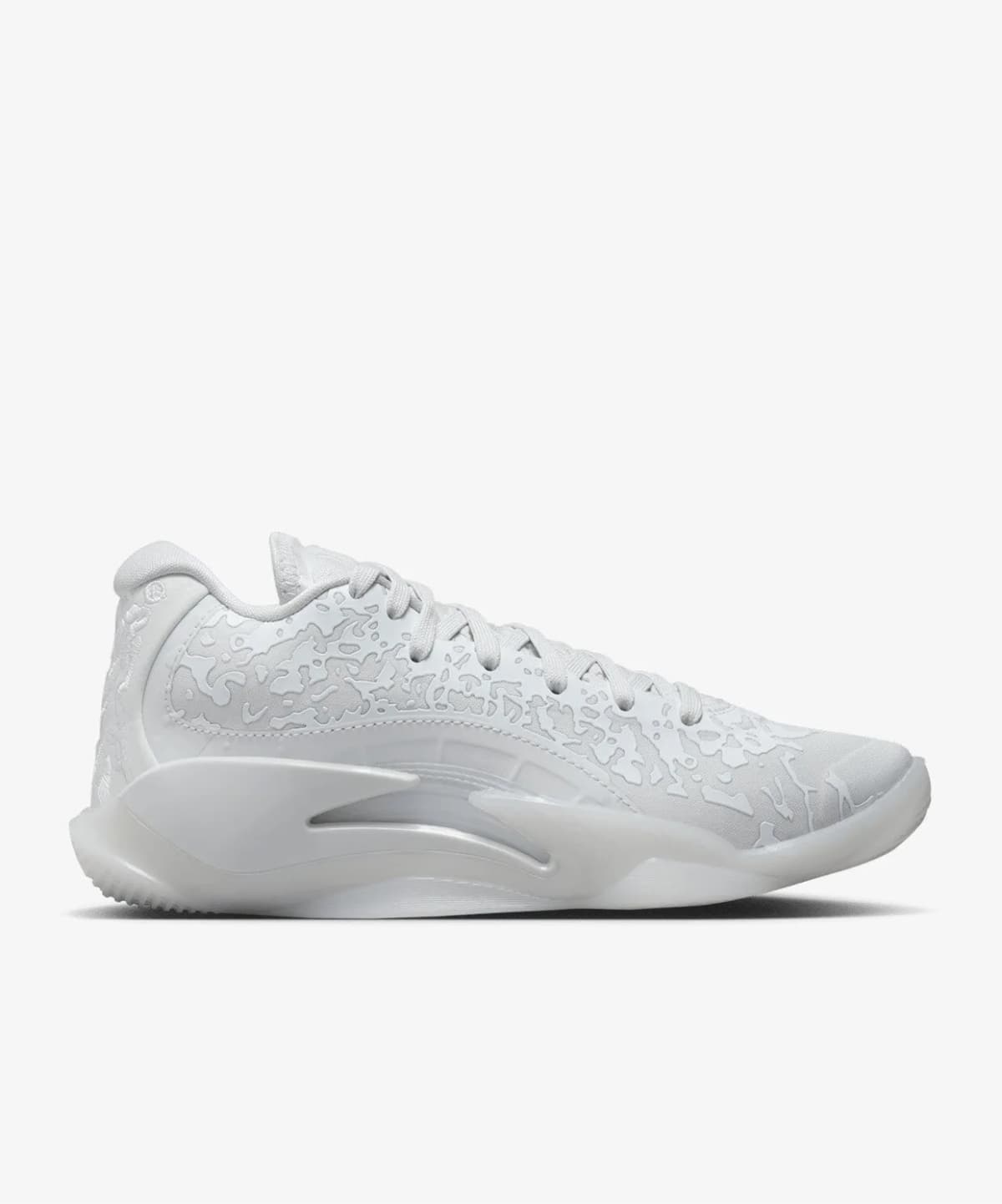 Nike Jordan Zion 3 (Gs) — Çok Renkli