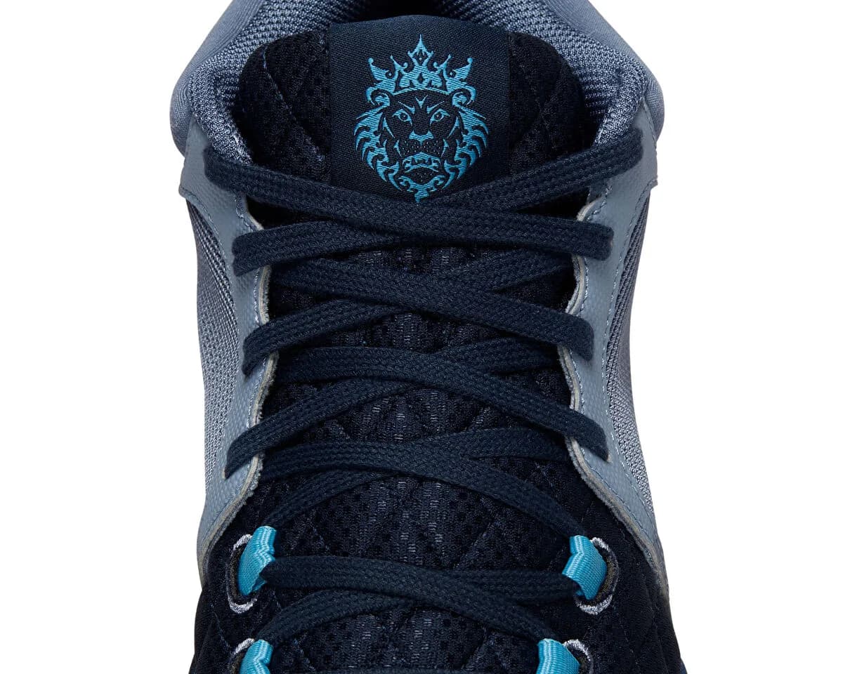 Nike Lebron Witness 8 — Çok Renkli · FB2239-400 (8/10)