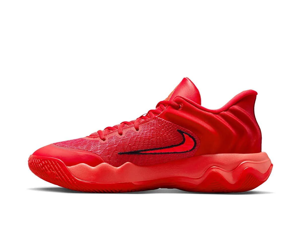 Nike GIANNIS IMMORTALITY 4 — Çok Renkli · FQ3680-600 (2/9)