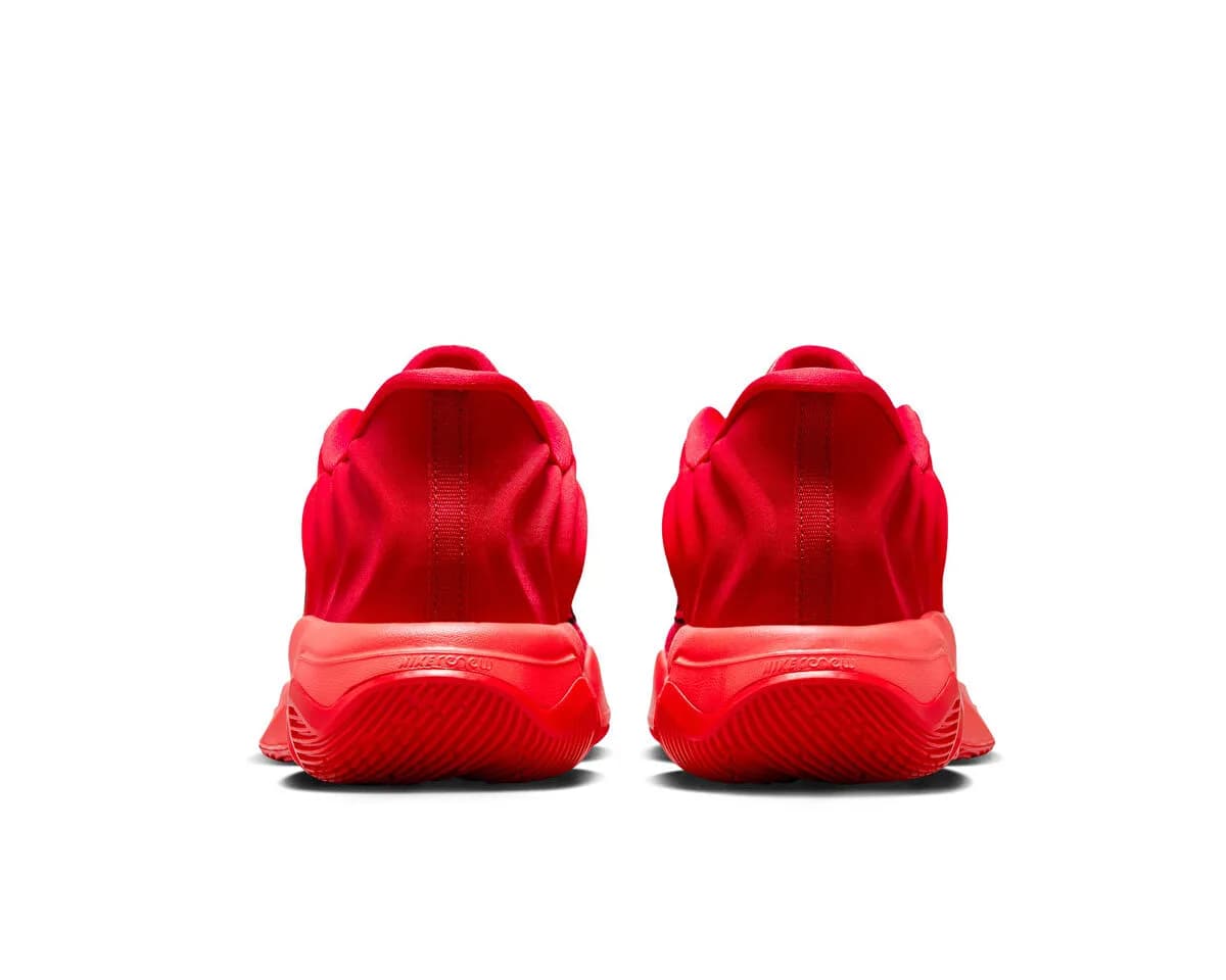 Nike GIANNIS IMMORTALITY 4 — Çok Renkli · FQ3680-600 (5/9)