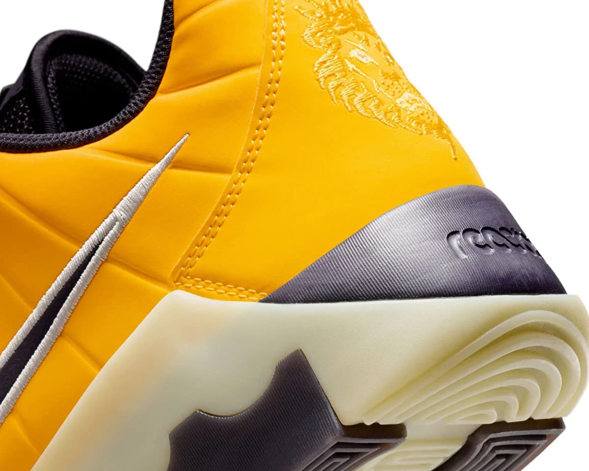 Nike LEBRON WITNESS IX — Çok Renkli · HQ8034-700 (8/8)