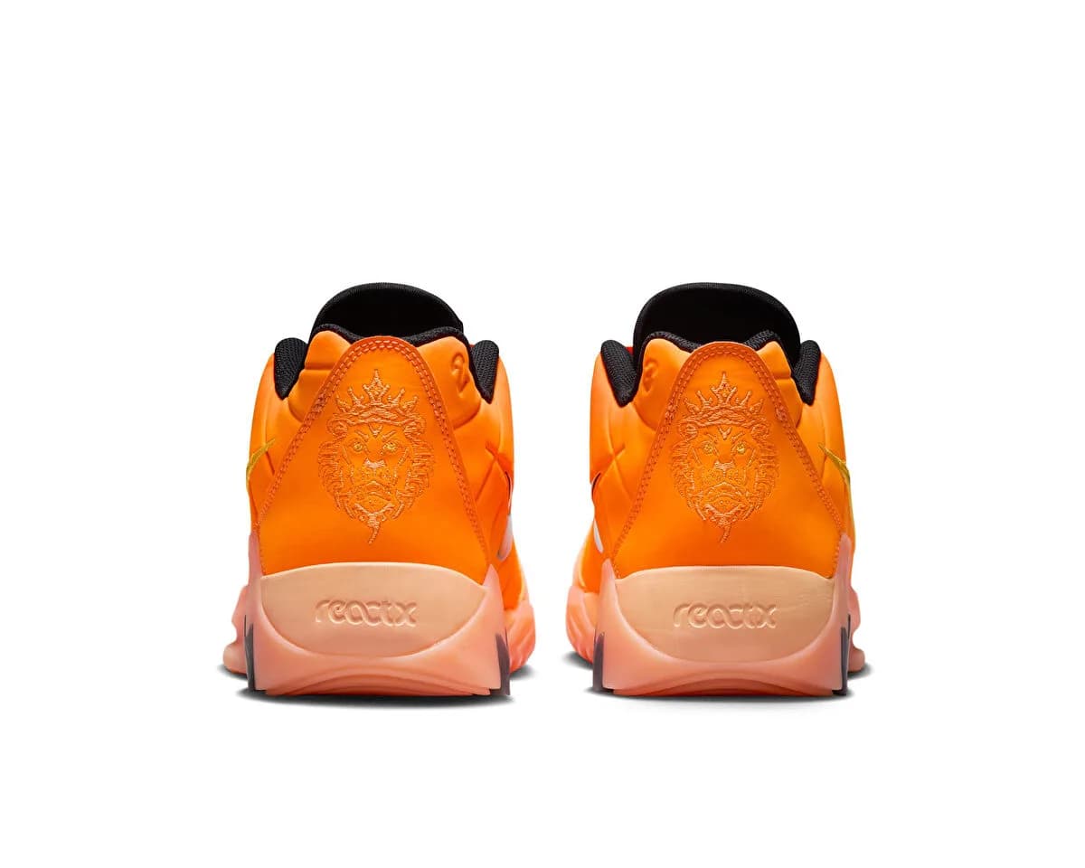 Nike LEBRON WITNESS IX — Çok Renkli · HQ8034-800 (5/8)