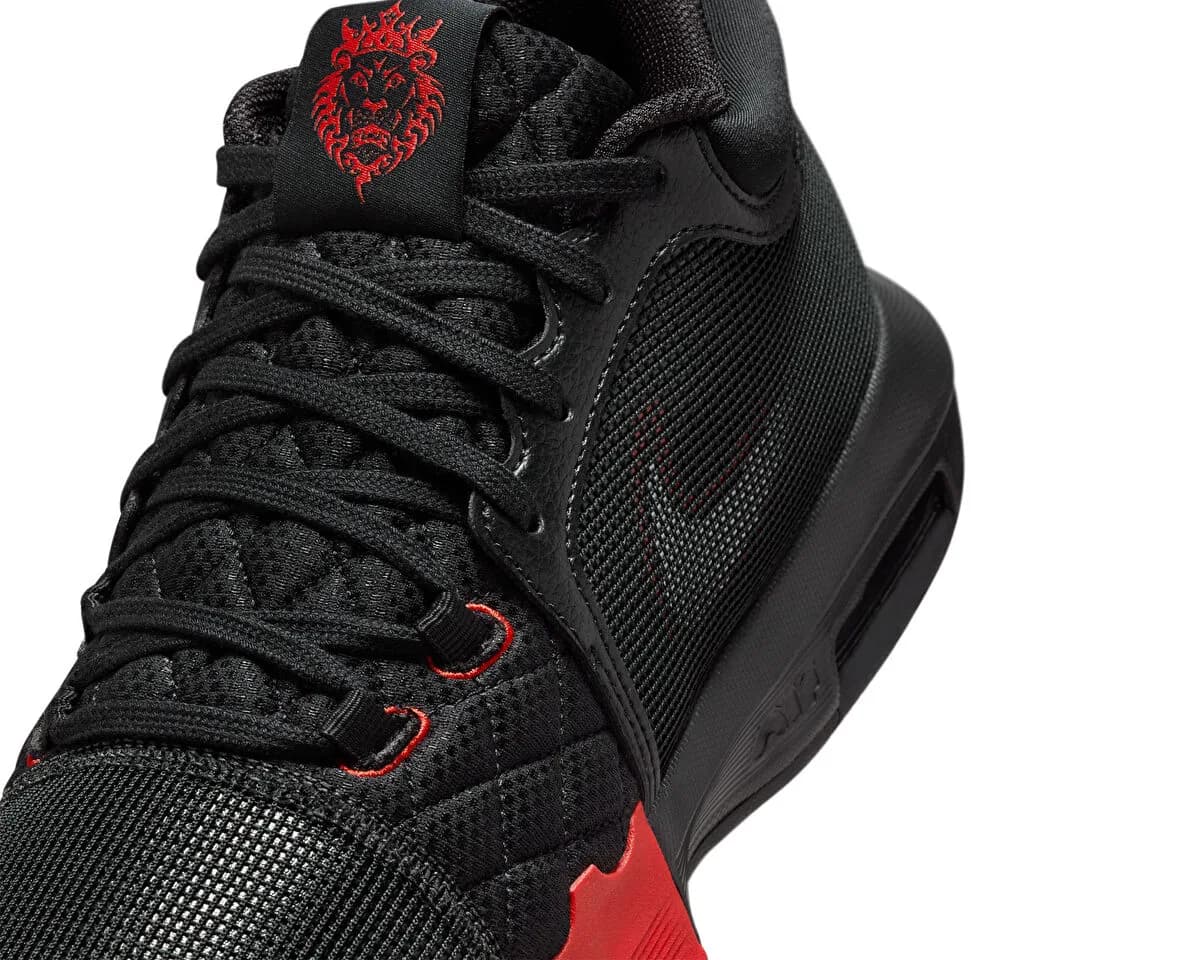 Nike Lebron Witness 8 — Çok Renkli · FB2239-005 (6/8)