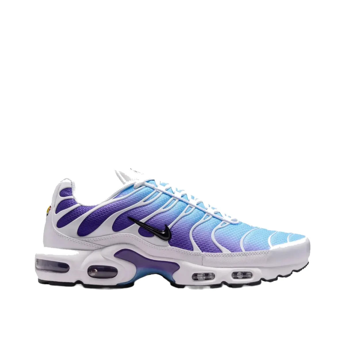 Nike Air Max Plus Erkek Spor Ayakkabı — Çok Renkli